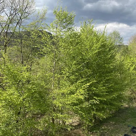 Le Faucon Pelerin Prázdninový dům Tournavaux